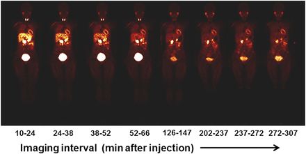 FIGURE 1.