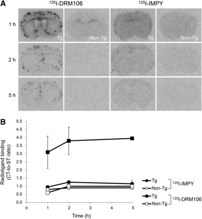 FIGURE 4.
