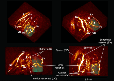 FIGURE 2.