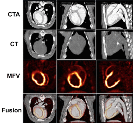 Figure1