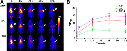 FIGURE 3.