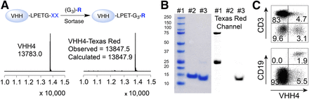 FIGURE 1.