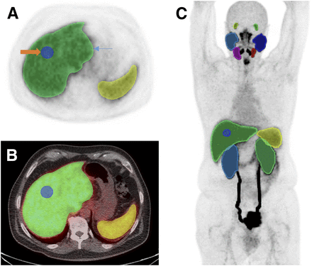 FIGURE 1.