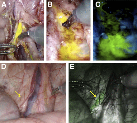 FIGURE 4.