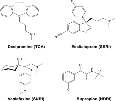 FIGURE 1.