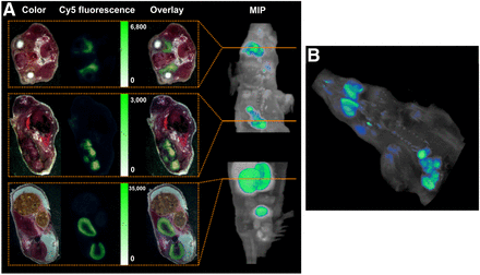 FIGURE 4.