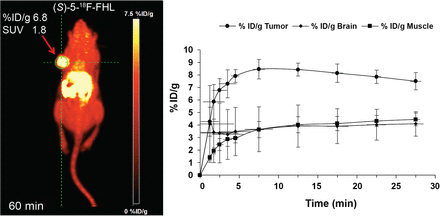 FIGURE 9.