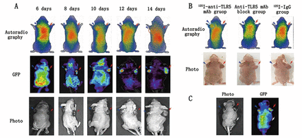 Figure3