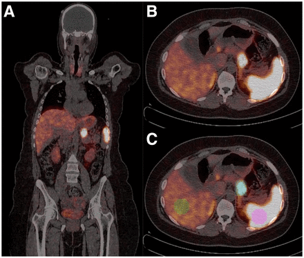 FIGURE 1.