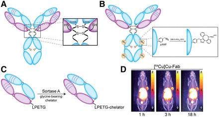 FIGURE 3.