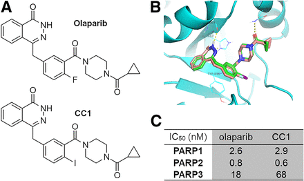 FIGURE 1.