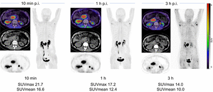 FIGURE 5.