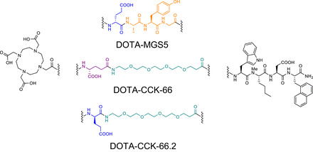 FIGURE 1.