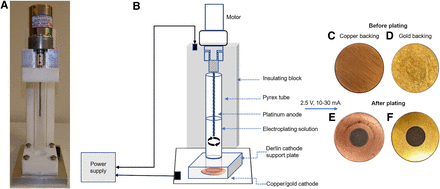 FIGURE 1.