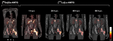 FIGURE 4.