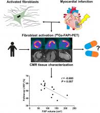 Cardiac Fibroblast Activation in Patients Early After Acute Myocardial Infarction: Integration with MR Tissue Characterization and Subsequent Functional Outcome