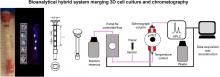 Bioanalytic Hybrid System Merging 3-Dimensional Cell Culture and Chromatographic Precision for Unprecedented Preclinical Insights in Molecular Imaging