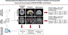 Detecting High-Dose Methotrexate–Induced Brain Changes in Pediatric and Young Adult Cancer Survivors Using [<sup>18</sup>F]FDG PET/MRI: A Pilot Study
