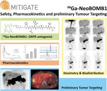 MITIGATE-NeoBOMB1, a Phase I/IIa Study to Evaluate Safety, Pharmacokinetics, and Preliminary Imaging of <sup>68</sup>Ga-NeoBOMB1, a Gastrin-Releasing Peptide Receptor Antagonist, in GIST Patients