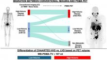 Low- and High-Volume Disease in Metastatic Hormone-Sensitive Prostate Cancer: From CHAARTED to PSMA PET—An International Multicenter Retrospective Study