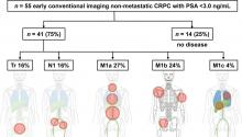 PSMA-Ligand PET for Early Castration-Resistant Prostate Cancer: A Retrospective Single-Center Study