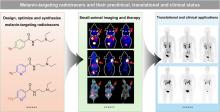 Melanin-Targeting Radiotracers and Their Preclinical, Translational, and Clinical Status: From Past to Future