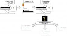 Prognostic Role of <sup>68</sup>Ga-PSMA11 PET–Based Response in Patients with Prostate Cancer Undergoing Taxane-Based Chemotherapy