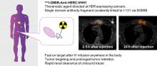Phase I Trial of <sup>131</sup>I-GMIB-Anti-HER2-VHH1, a New Promising Candidate for HER2-Targeted Radionuclide Therapy in Breast Cancer Patients