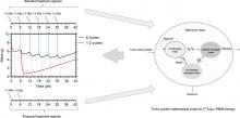 Mathematic Modeling of Tumor Growth During [<sup>177</sup>Lu]Lu-PSMA Therapy: Insights into Treatment Optimization