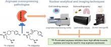 Mapping Arginase Expression with <sup>18</sup>F-Fluorinated Late-Generation Arginase Inhibitors Derived from Quaternary α-Amino Acids