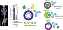 Evaluation of Candidate Theranostics for <sup>227</sup>Th/<sup>89</sup>Zr Paired Radioimmunotherapy of Lymphoma