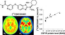 First-in-Human Study of [<sup>11</sup>C]NCGG401 for Imaging Colony-Stimulating Factor 1 Receptors in the Brain