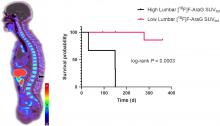 [<sup>18</sup>F]F-AraG Uptake in Vertebral Bone Marrow May Predict Survival in Patients with Non–Small Cell Lung Cancer Treated with Anti-PD-(L)1 Immunotherapy