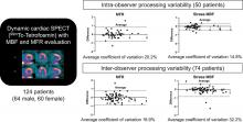 Precision of Myocardial Blood Flow and Flow Reserve Measurement During CZT SPECT Perfusion Imaging Processing: Intra- and Interobserver Variability