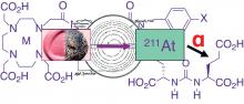 An Improved <sup>211</sup>At-Labeled Agent for PSMA-Targeted α-Therapy