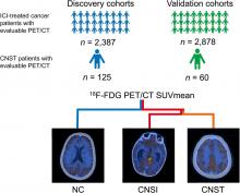 Cerebral <sup>18</sup>F-FDG PET/CT Metabolism as Diagnostic Signature for Central Nervous System Toxicity After Immune Checkpoint Blockade Cancer Treatment