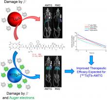 Preclinical Evaluation of Gastrin-Releasing Peptide Receptor Antagonists Labeled with <sup>161</sup>Tb and <sup>177</sup>Lu: A Comparative Study