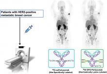 First-in-Human Evaluation of Site-Specifically Labeled <sup>89</sup>Zr-Pertuzumab in Patients with HER2-Positive Breast Cancer