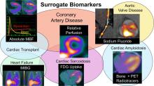 Nuclear Cardiology Surrogate Biomarkers in Clinical Trials