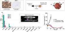 Peptide Binder to Glypican-3 as a Theranostic Agent for Hepatocellular Carcinoma