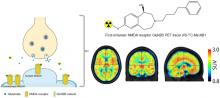 First-in-Humans Brain PET Imaging of the GluN2B-Containing <em>N</em>-methyl-<span class="sc">d</span>-aspartate Receptor with (<em>R</em>)-<sup>11</sup>C-Me-NB1