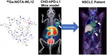 First-in-Humans Evaluation of a PD-L1–Binding Peptide PET Radiotracer in Non–Small Cell Lung Cancer Patients