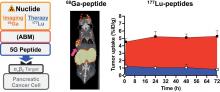 Preclinical Evaluation of <sup>68</sup>Ga- and <sup>177</sup>Lu-Labeled Integrin α<sub>v</sub>β<sub>6</sub>-Targeting Radiotheranostic Peptides