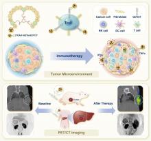 Preclinical Evaluation and Pilot Clinical Study of CD137 PET Radiotracer for Noninvasive Monitoring Early Responses of Immunotherapy