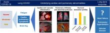 Prevalence of Persistent Cardiovascular and Pulmonary Abnormalities on PET/MRI and DECT Imaging in Long COVID Patients