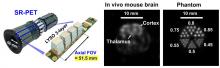 Submillimeter-Resolution PET for High-Sensitivity Mouse Brain Imaging