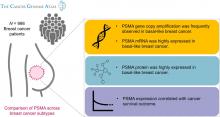 Frequent Amplification and Overexpression of PSMA in Basallike Breast Cancer from Analysis of The Cancer Genome Atlas