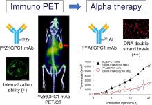 Immuno-PET and Targeted α-Therapy Using Anti–Glypican-1 Antibody Labeled with <sup>89</sup>Zr or <sup>211</sup>At: A Theranostic Approach for Pancreatic Ductal Adenocarcinoma