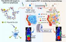 Noninvasive Monitoring of Immunotherapy in Lung Cancer by Lymphocyte Activation Gene 3 PET Imaging of Tumor-Infiltrating Lymphocytes