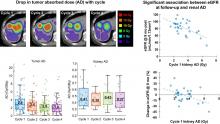 Multicycle Dosimetric Behavior and Dose–Effect Relationships in [<sup>177</sup>Lu]Lu-DOTATATE Peptide Receptor Radionuclide Therapy